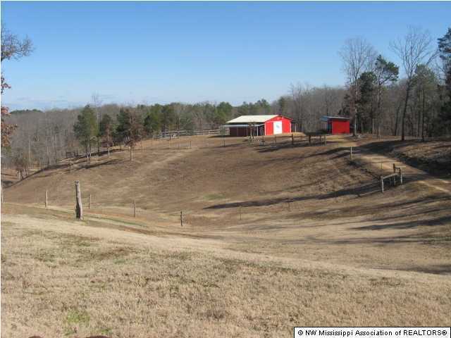 170 Colston Road Holly Springs, MS 38635 - Photo 10 of 14 Additional Photo