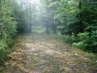 0 Federal Road Erin, NY 14838 - Photo 1 of 1 Gallery Image 1
