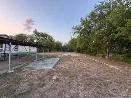 a view of a yard with a tree