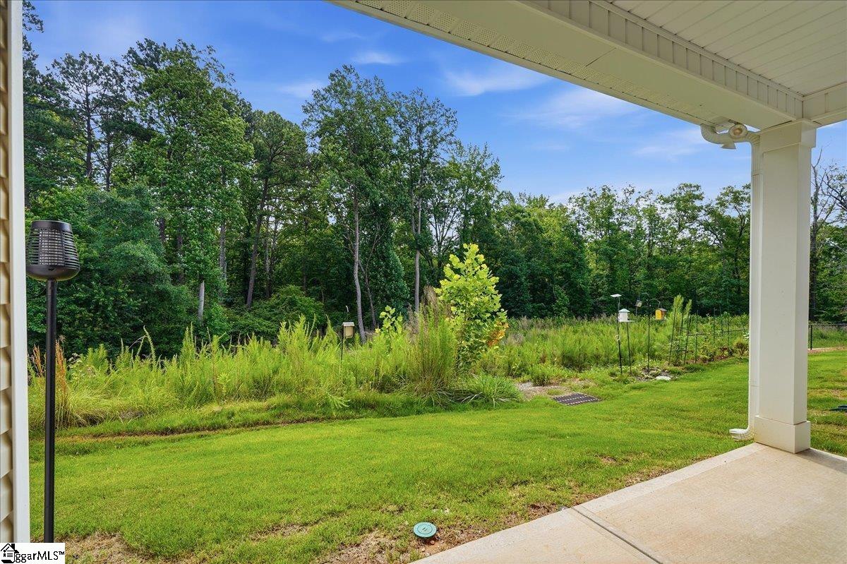 536 Winding Meadow Lane Greenville, SC 29607 - Photo 38 of 46