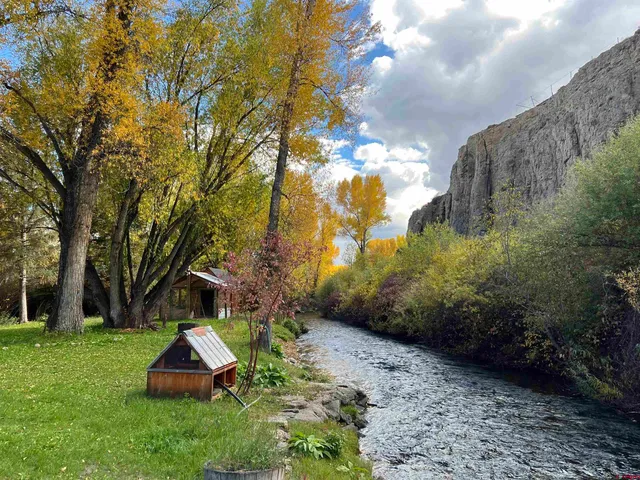 a aerial view of a garden