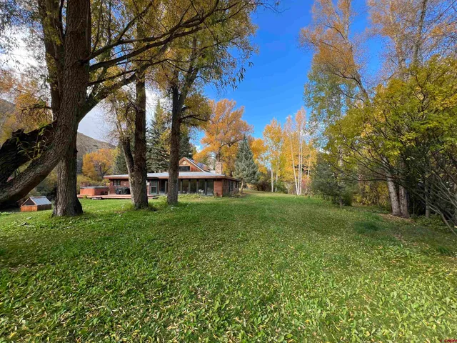 a view of a garden with trees