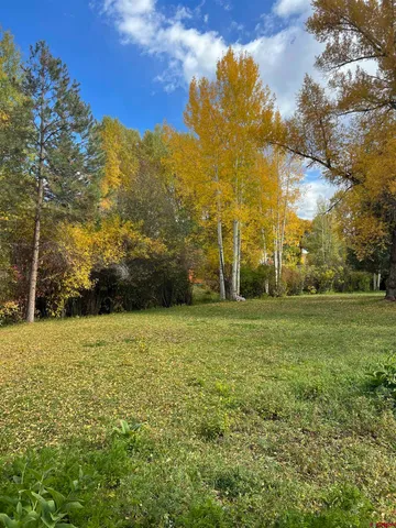 a view of outdoor space and yard