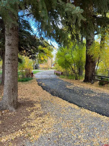a view of a yard with plants and trees