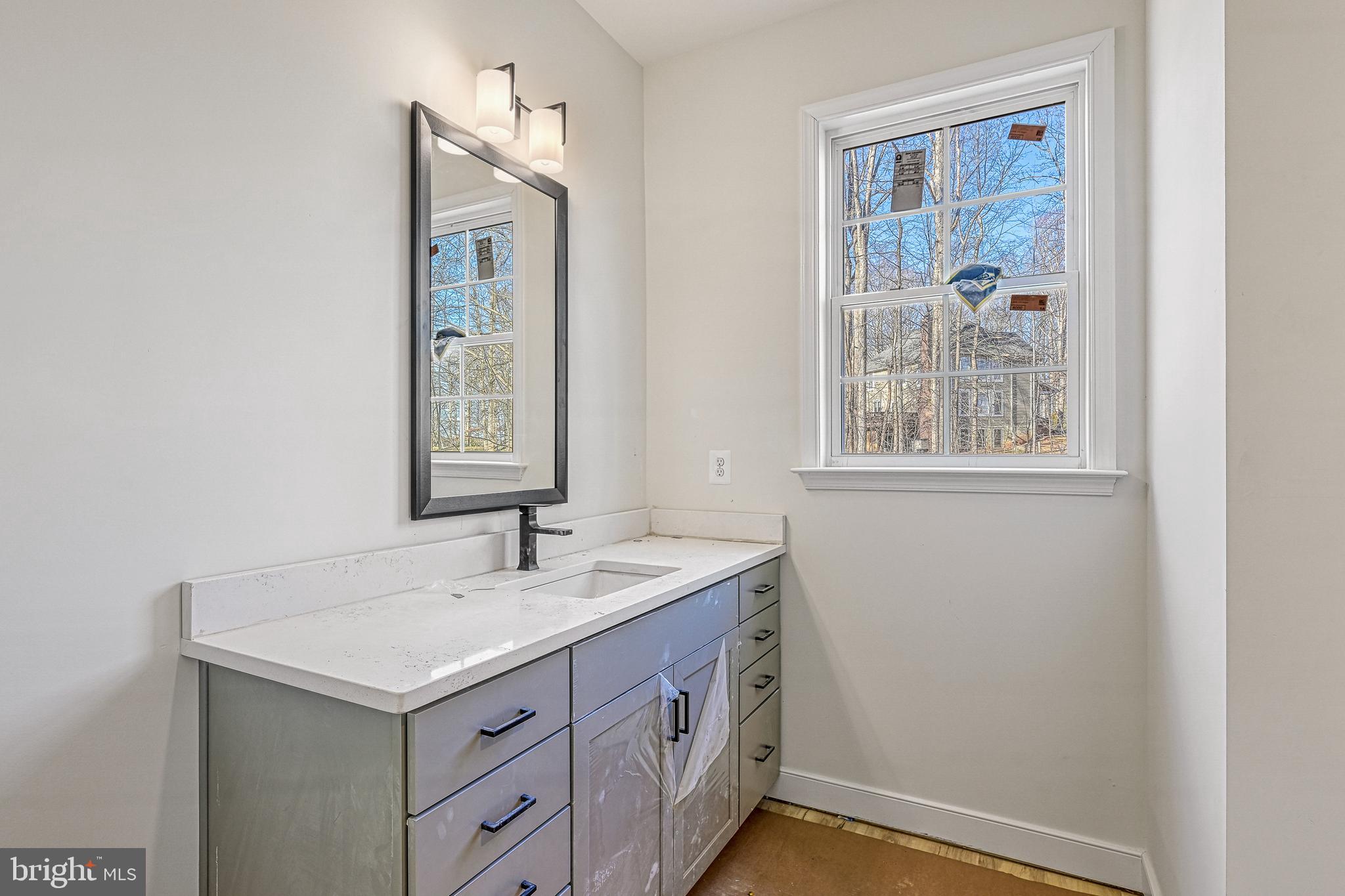 172 Covenant Way Bumpass, VA 23024 - Photo 26 of 56 a bathroom with a sink and a mirror