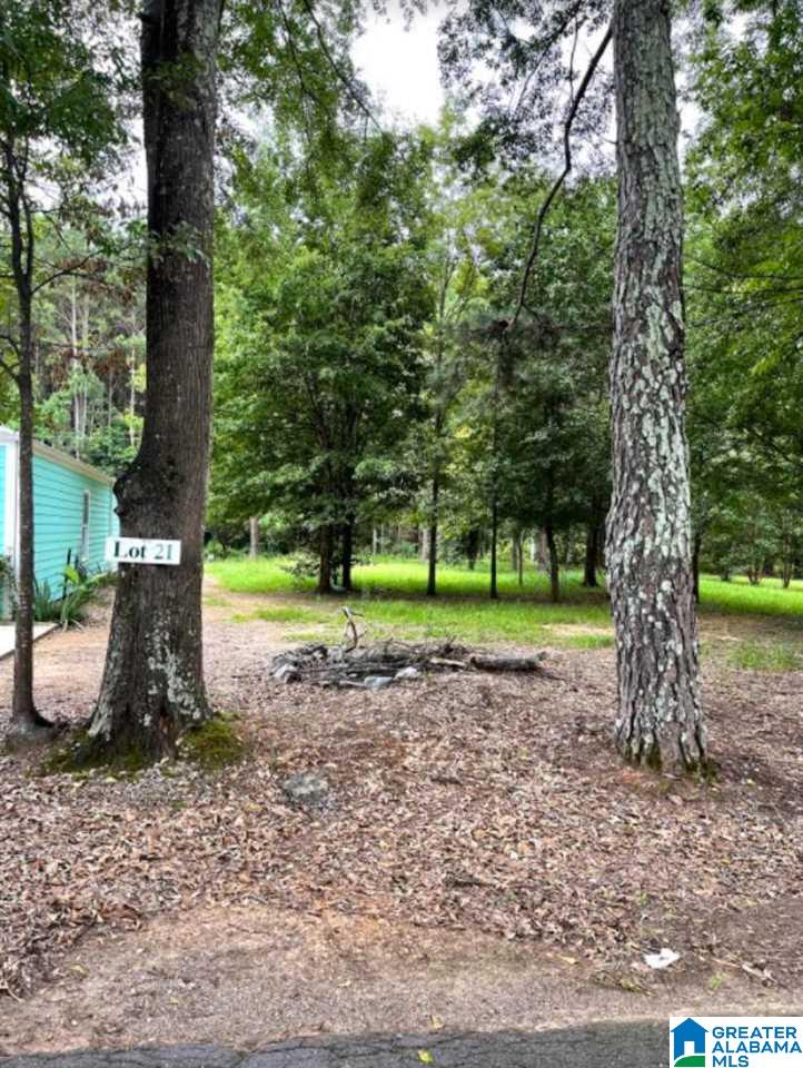 Lot 21 Blue Eye Road West, Unit 21 Lincoln, AL 35096 - Photo 1 of 3