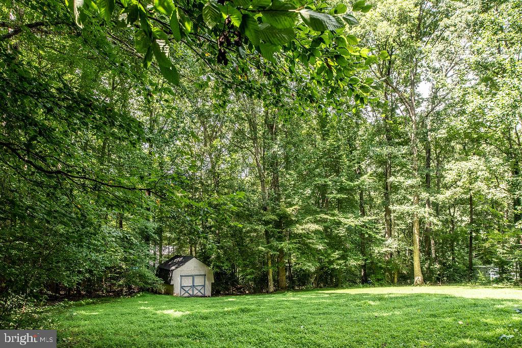 12310 Running Deer Road Manassas, VA 20112 - Photo 8 of 55 Peaceful 1 Acre Lot