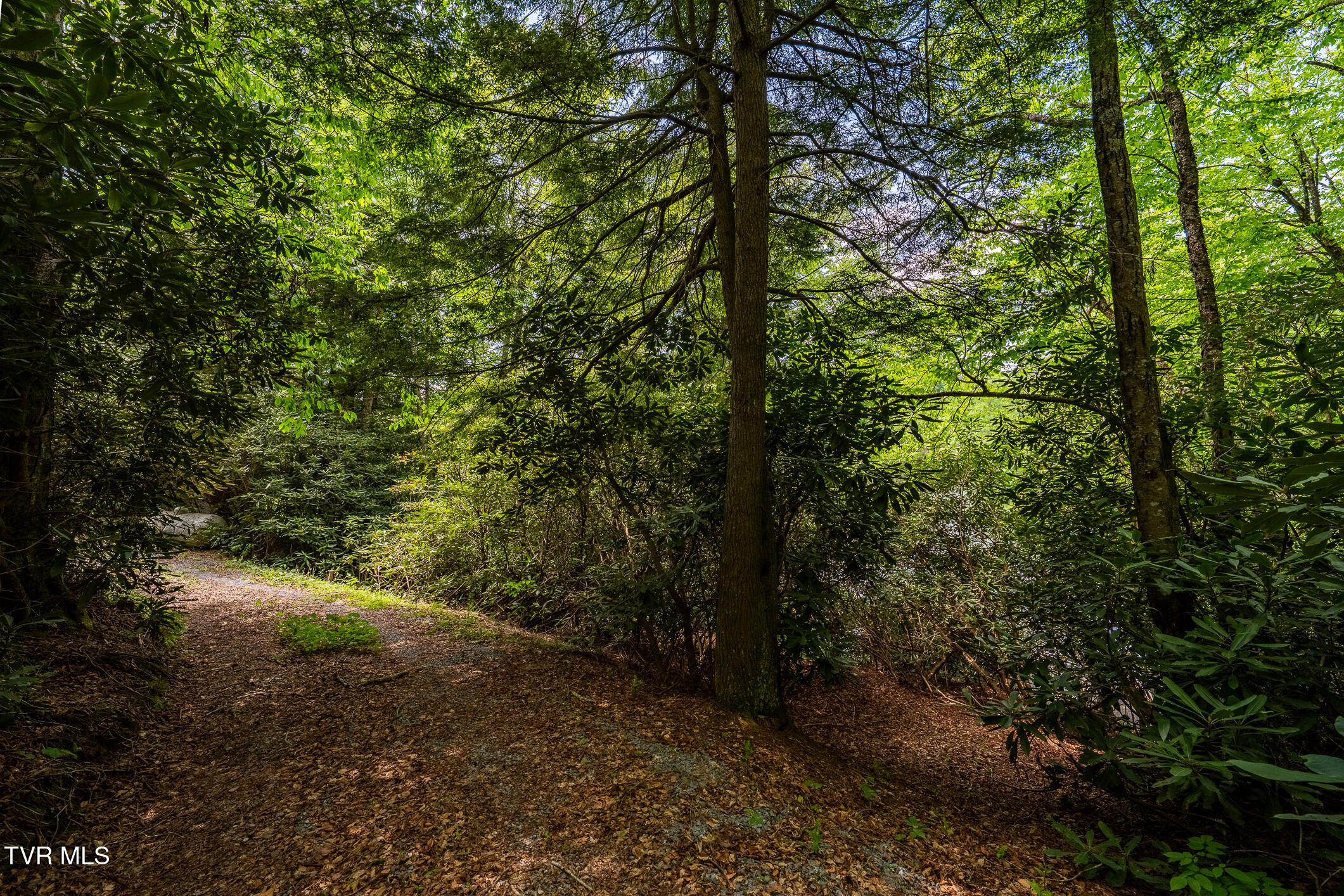 170 Ripshin Lake Road Roan Mountain, TN 37687 - Photo 64 of 64 170 Ripshin Lake Rd (41 of 73)