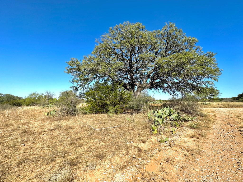 18121 Cedar Bluff Road Mason, TX 76856 - Photo 16 of 22
