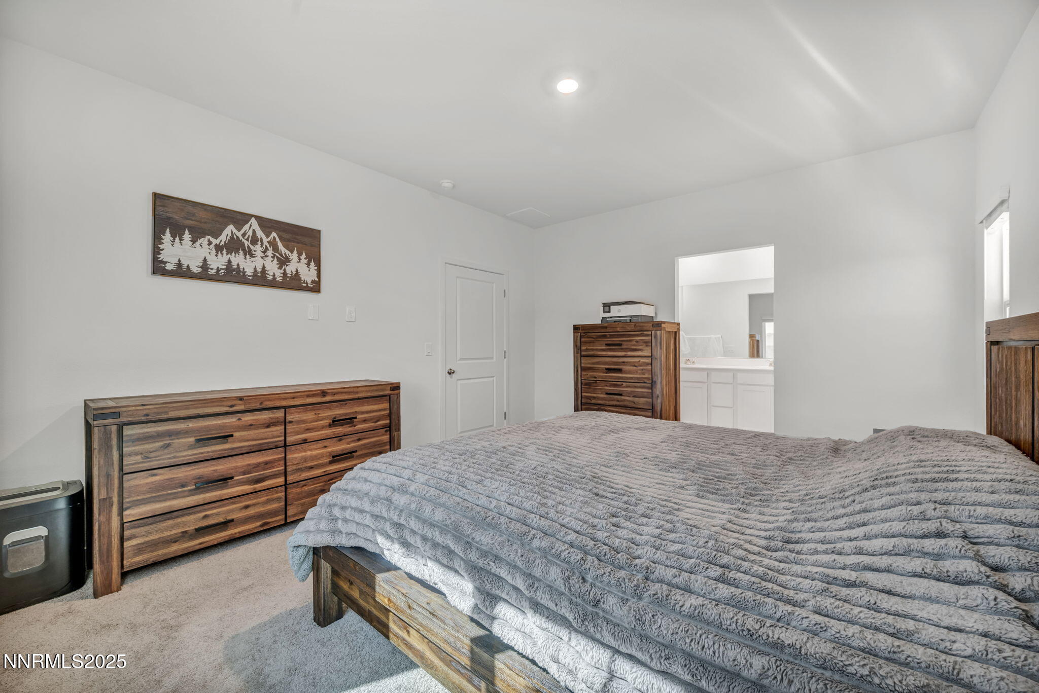 1019 Anthony Court Fernley, NV 89408 - Photo 12 of 55 a bedroom with a bed and dresser
