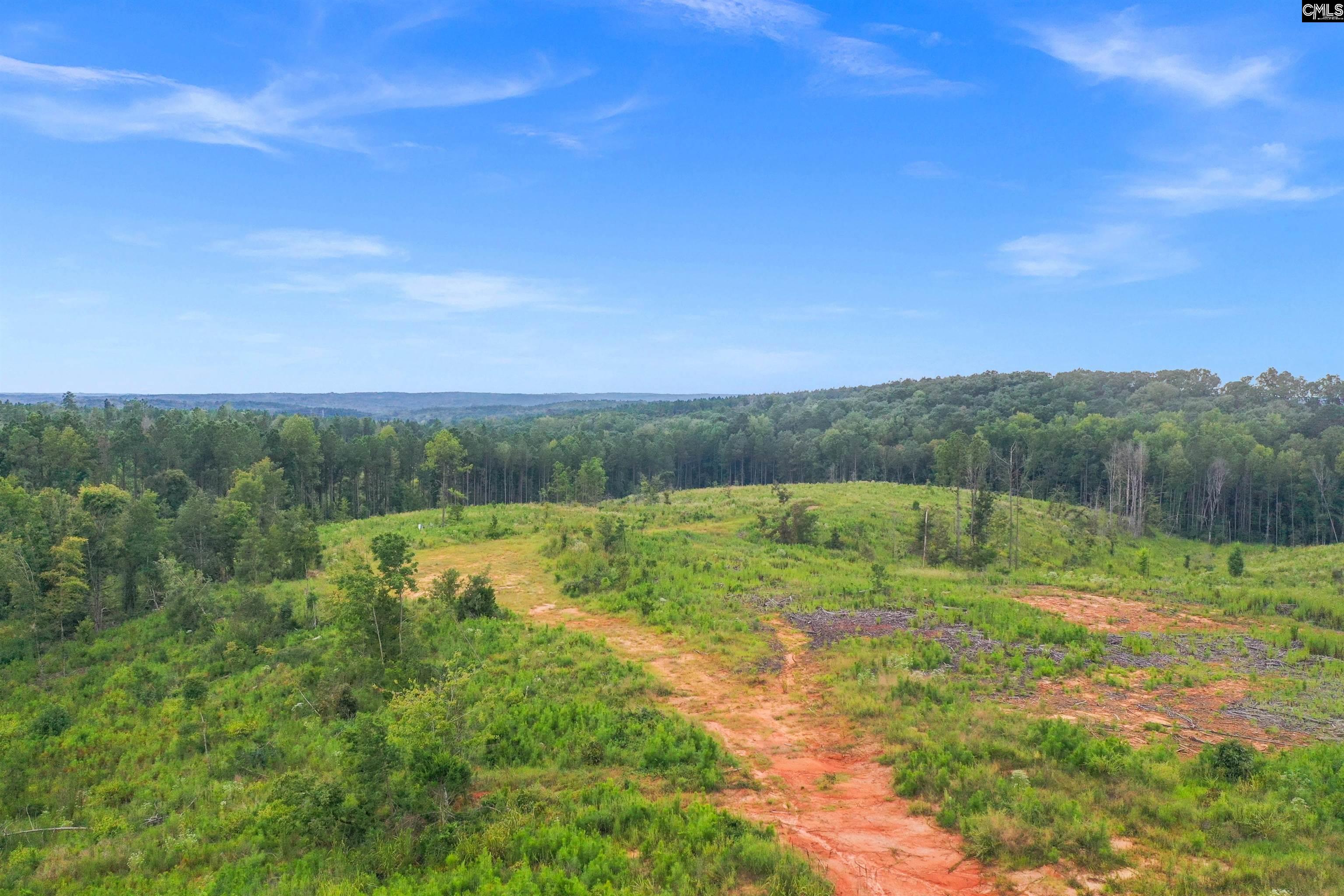 0 Penner Road, Unit 7 Jenkinsville, SC 29065 - Photo 11 of 36