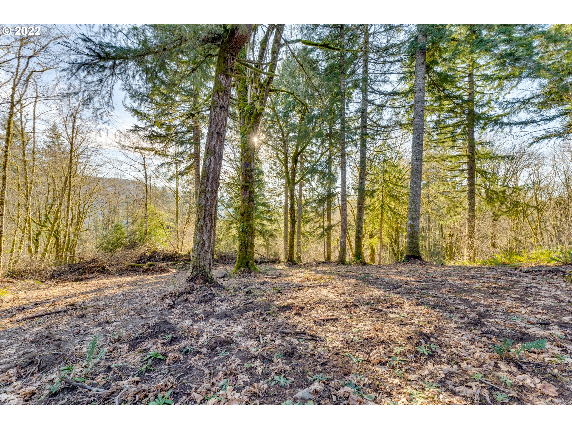 180 Old Spreadborough Road Kalama, WA 98625 - Photo 11 of 23 Gallery Image 11