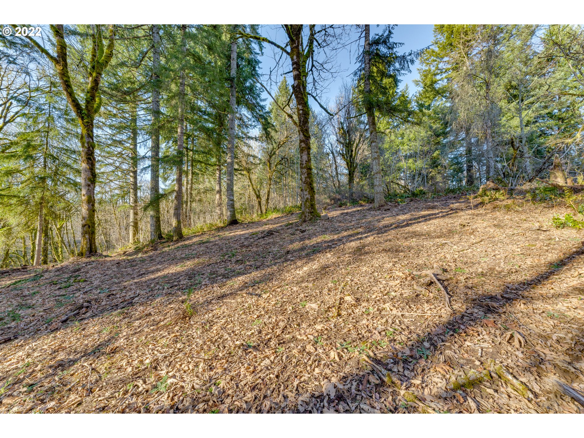 180 Old Spreadborough Road Kalama, WA 98625 - Photo 12 of 23 Gallery Image 12