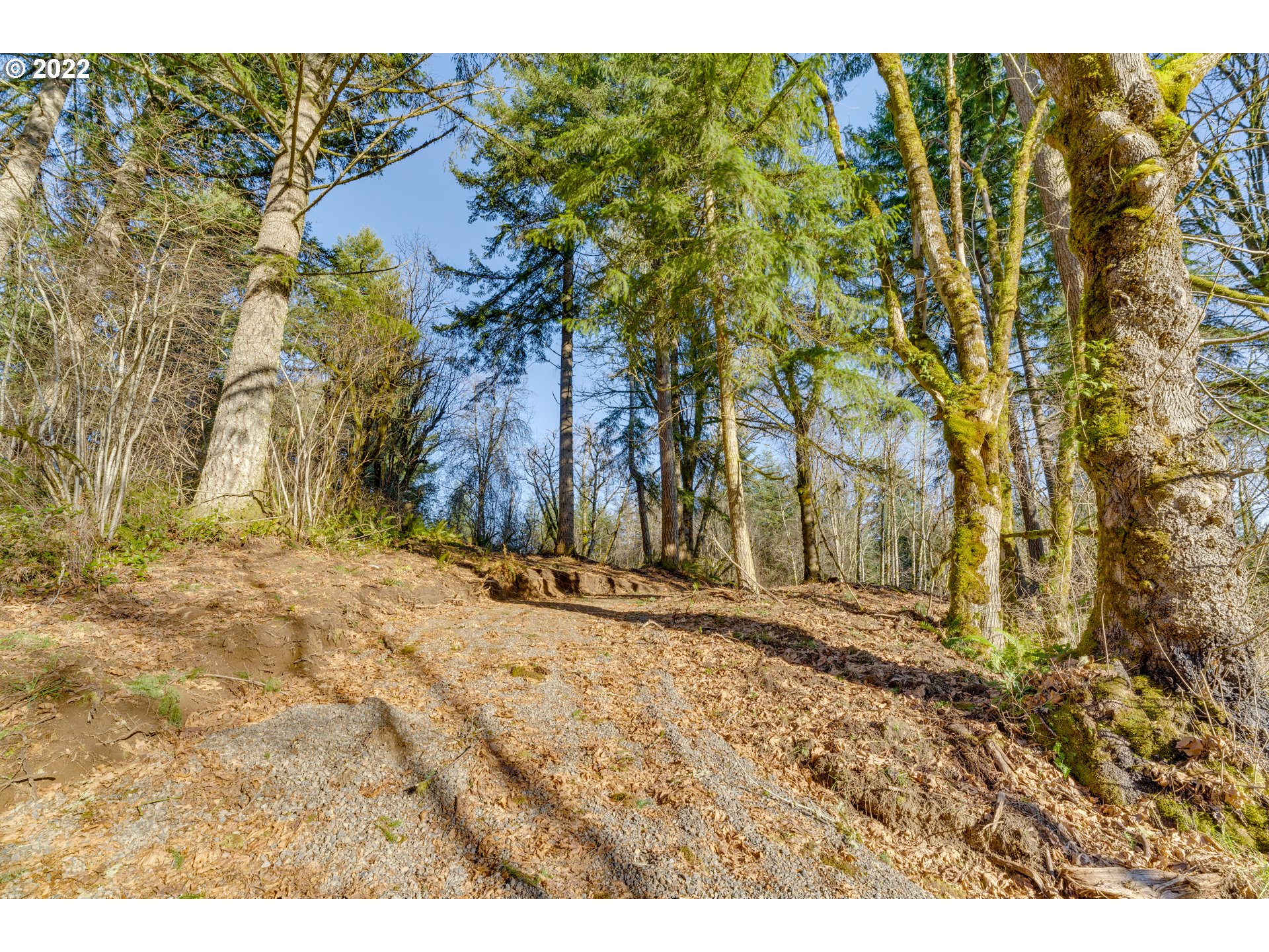 180 Old Spreadborough Road Kalama, WA 98625 - Photo 17 of 23 Gallery Image 17