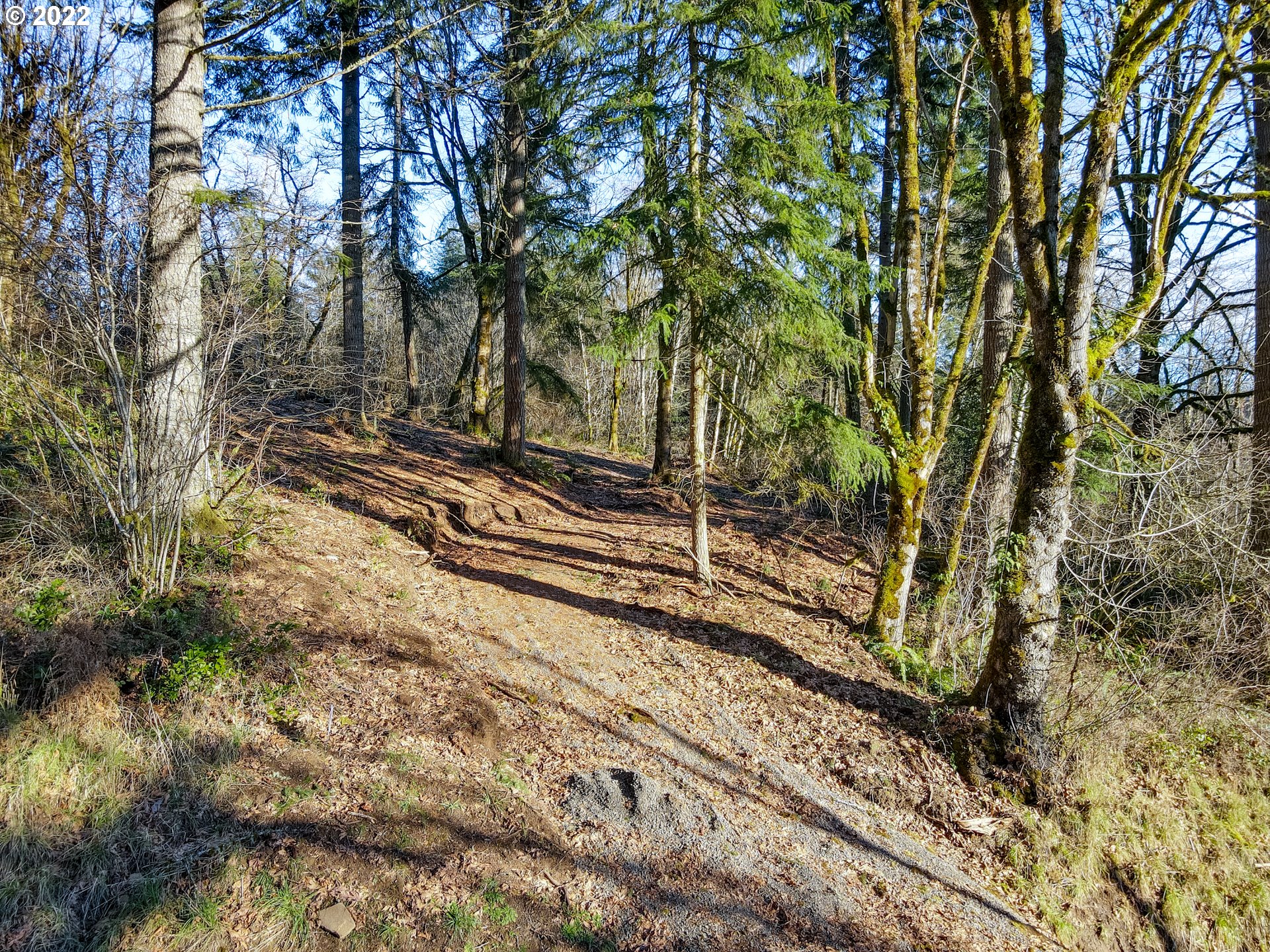180 Old Spreadborough Road Kalama, WA 98625 - Photo 22 of 23 Gallery Image 22