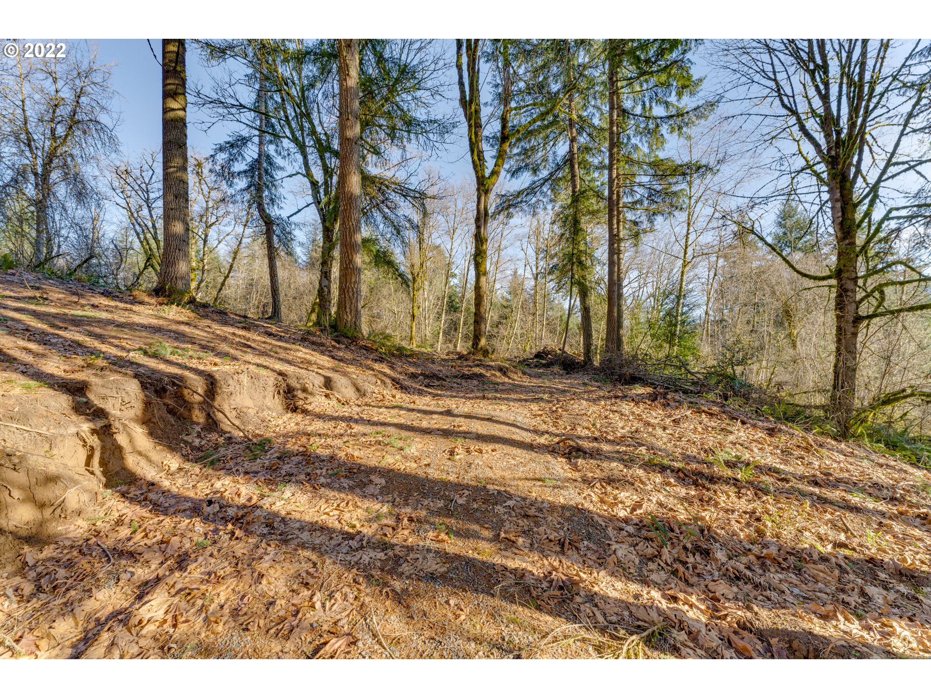 180 Old Spreadborough Road Kalama, WA 98625 - Photo 8 of 23 Gallery Image 8