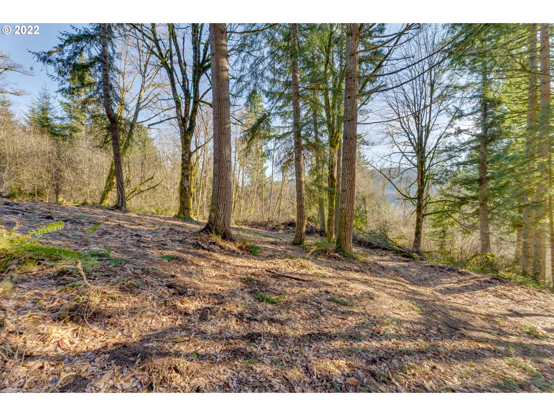 180 Old Spreadborough Road Kalama, WA 98625 - Photo 9 of 23 Gallery Image 9