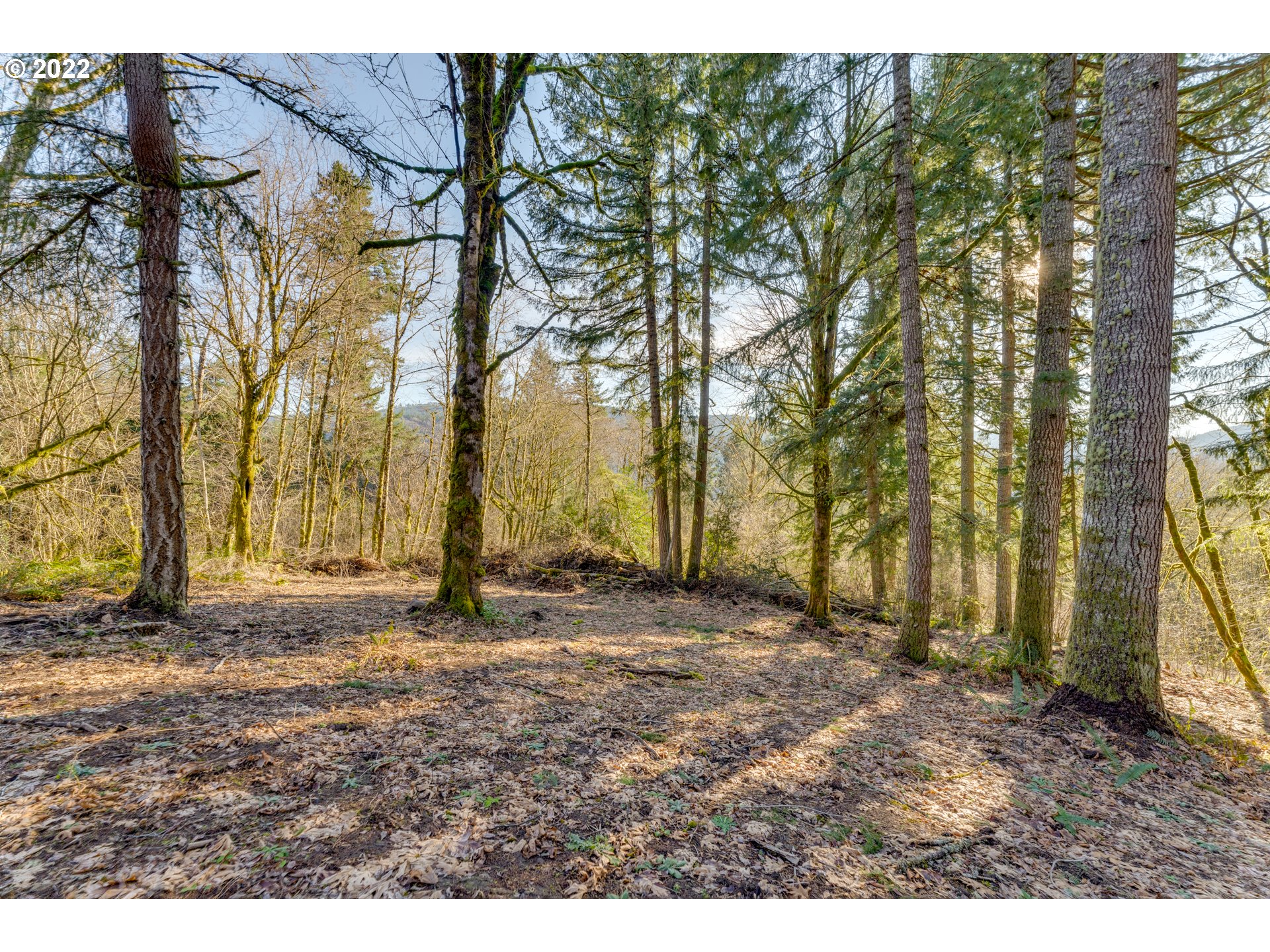 180 Old Spreadborough Road Kalama, WA 98625 - Photo 10 of 23 Gallery Image 10