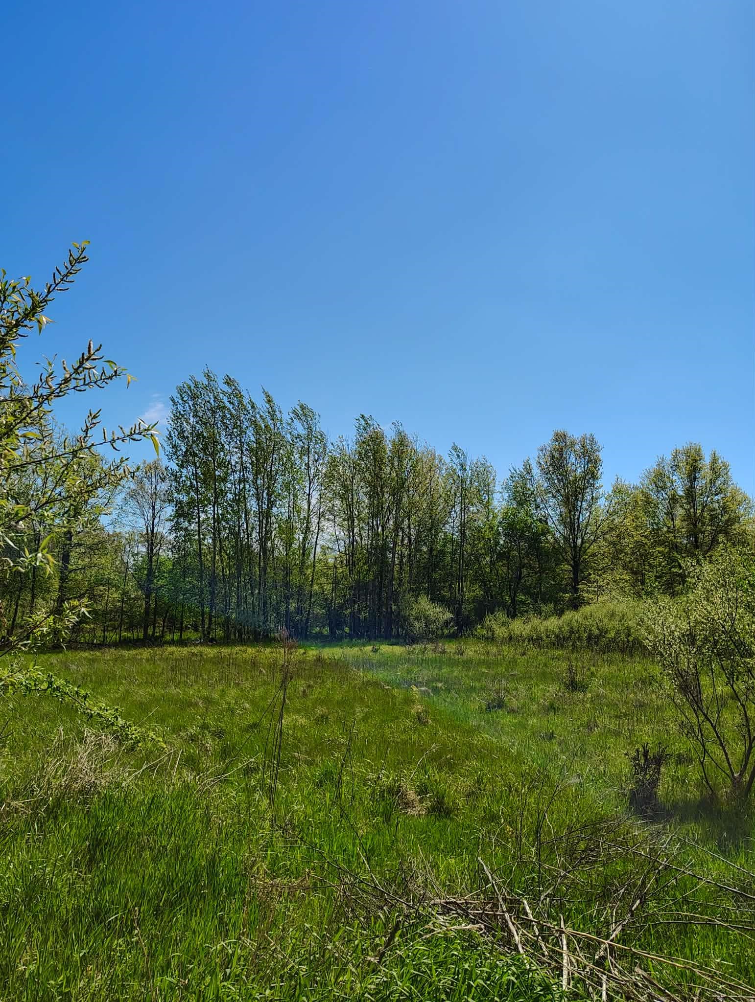 8602 South Fordney Road St. Charles, MI 48655 - Photo 25 of 26 Gallery Image 25