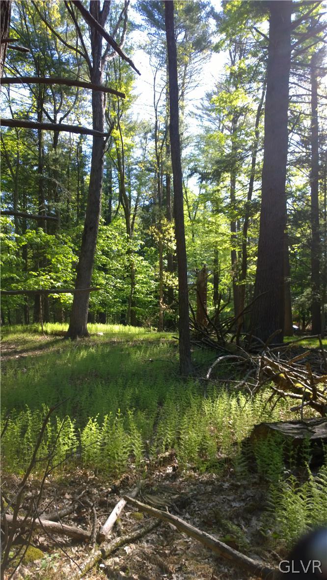 677 Raccoon Court Bushkill, PA 18324 - Photo 1 of 1 a view of a yard with a tree