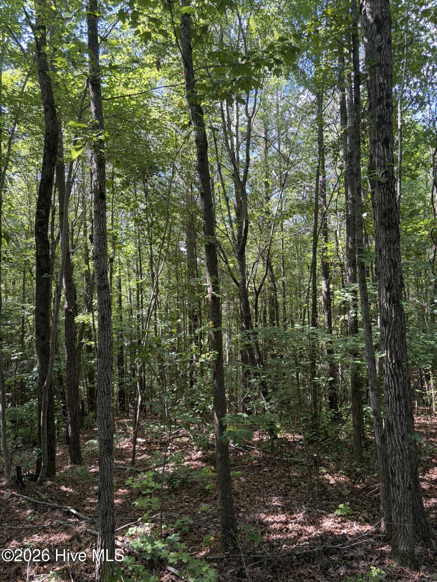 Tbd Green Road Ellerbe, NC 28338 - Photo 6 of 23