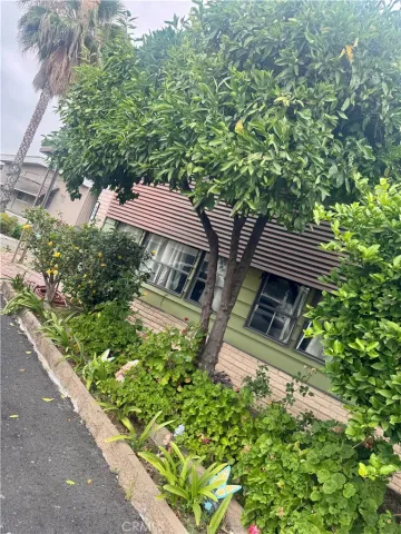 a view of a backyard with sitting area