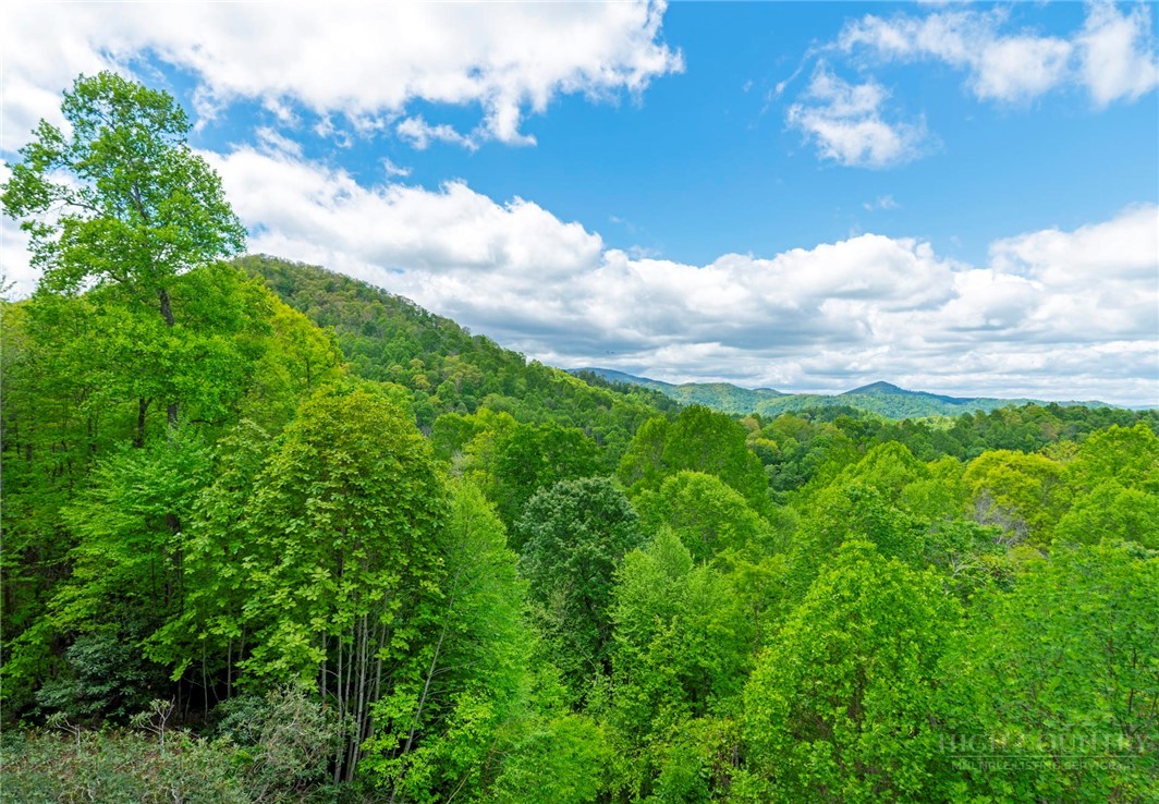942 Ridge Haven Parkway, Unit R1211 Banner Elk, NC 28604 - Photo 17 of 45 a view of a big yard