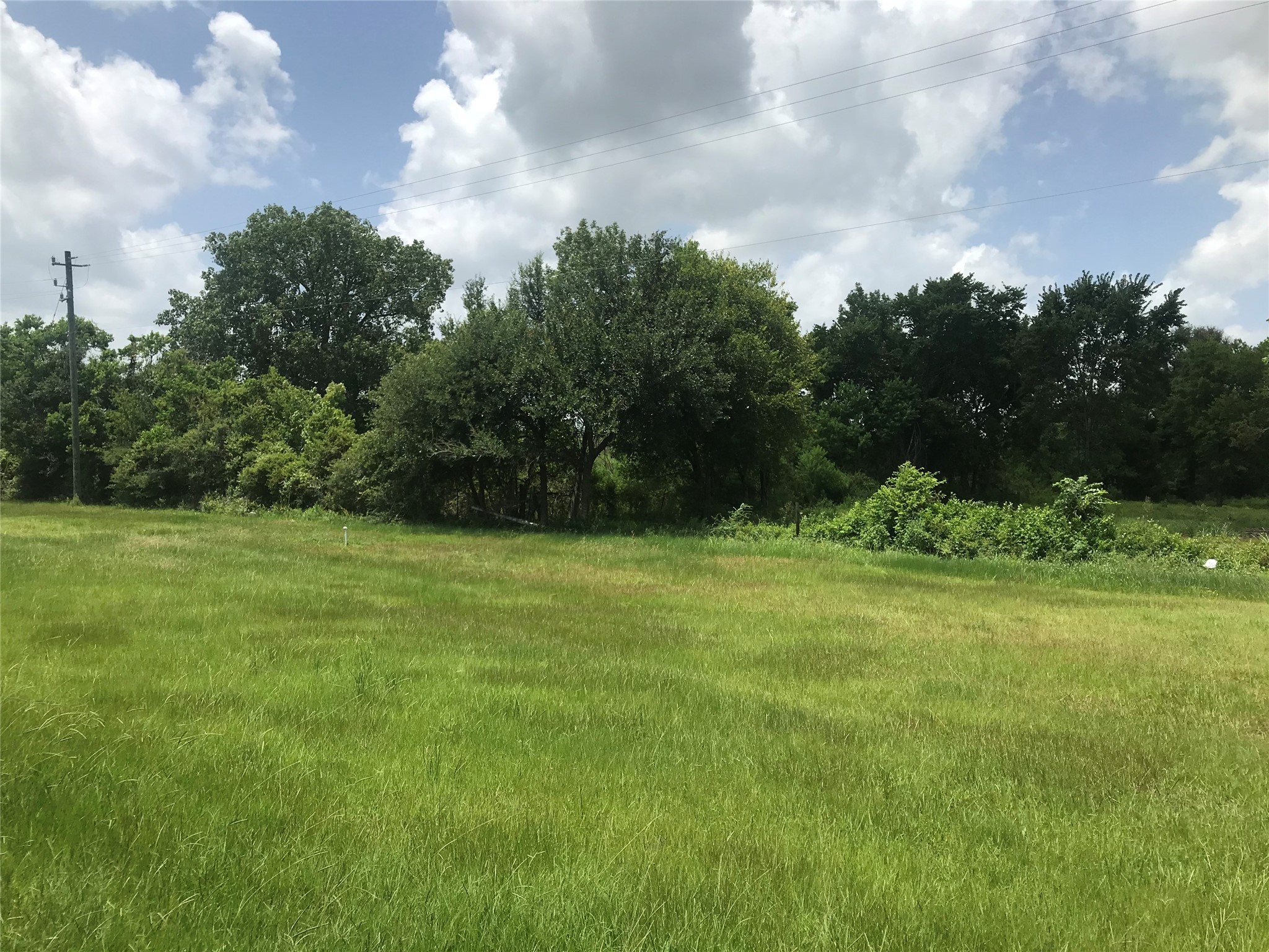 117 West Archer Road Baytown, TX 77521 - Photo 5 of 8 a view of a green yard