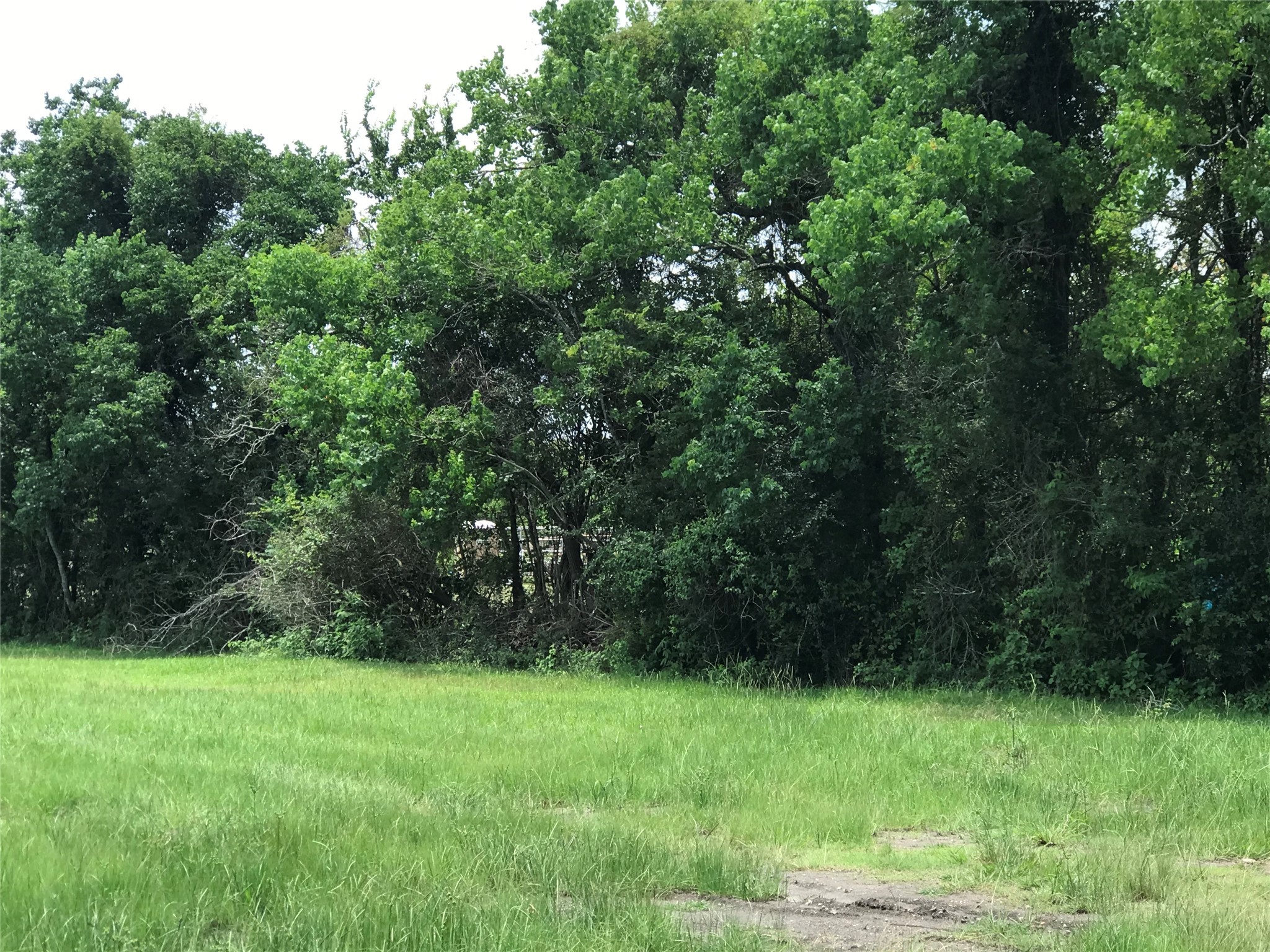 117 West Archer Road Baytown, TX 77521 - Photo 7 of 8 a view of a yard