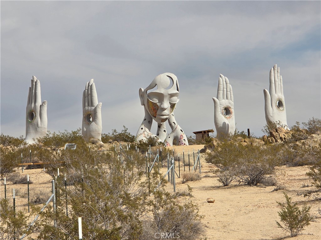 64845 Sun Oro Road Joshua Tree, CA 92252 - Photo 51 of 52 a vase of flowers sitting on a table