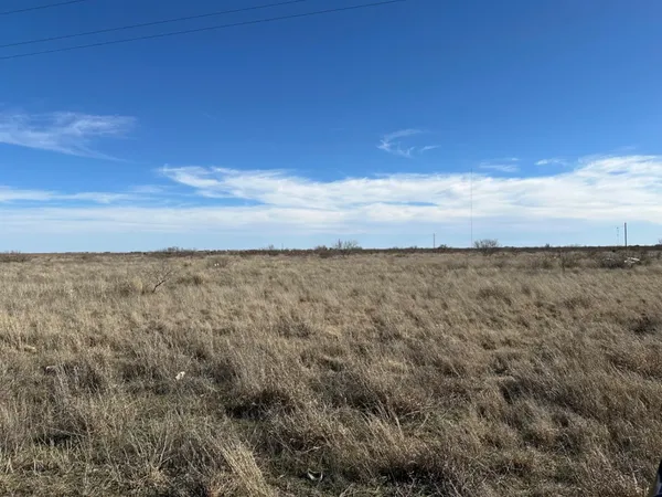 a view of a field with an ocean