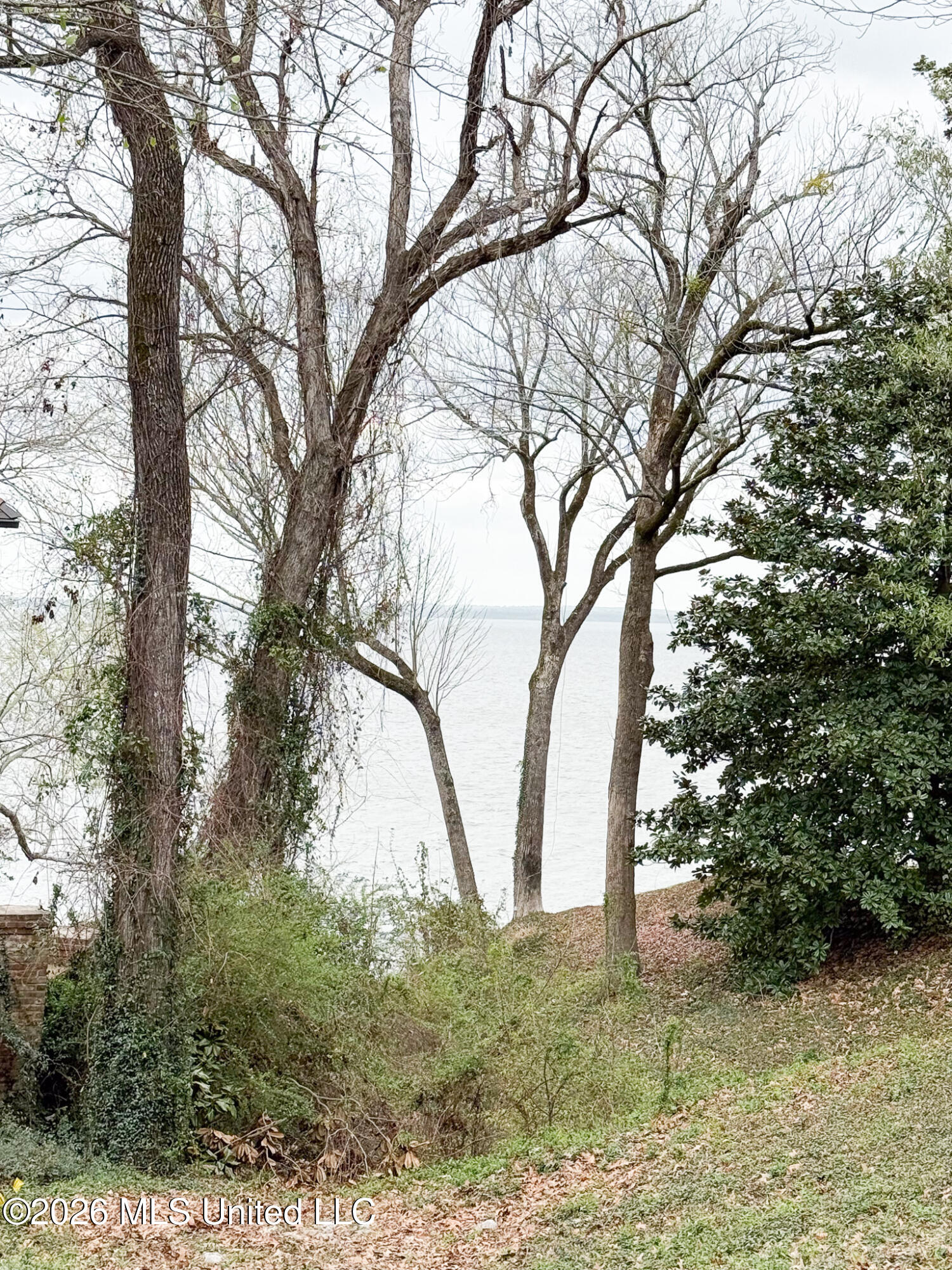 107 Lakepointe Drive Madison, MS 39110 - Photo 27 of 27 IMG_5104