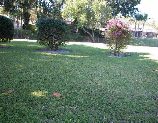 2623 Northwest 23rd Way Boca Raton, FL 33431 - Photo 11 of 11 Additional Photo