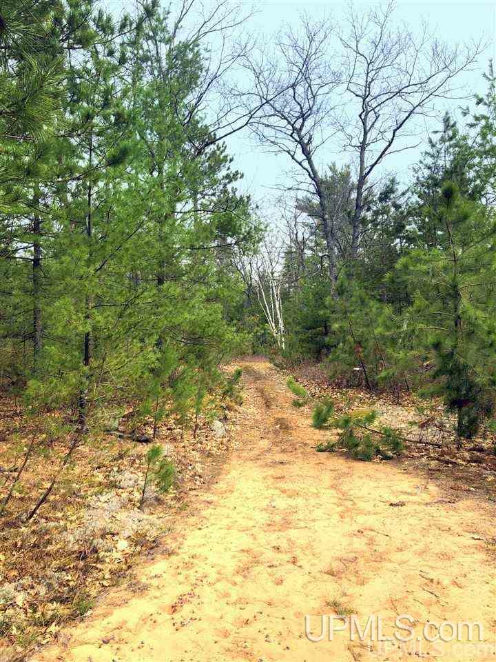 Tbd Valley Road Marquette, MI 49855 - Photo 24 of 59