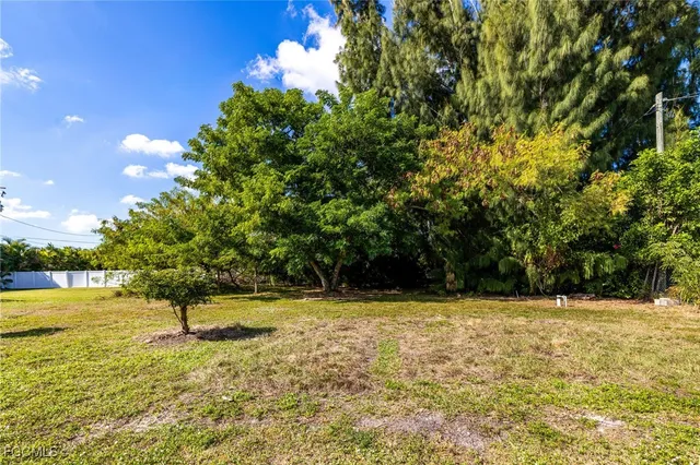 a view of a yard with a tree