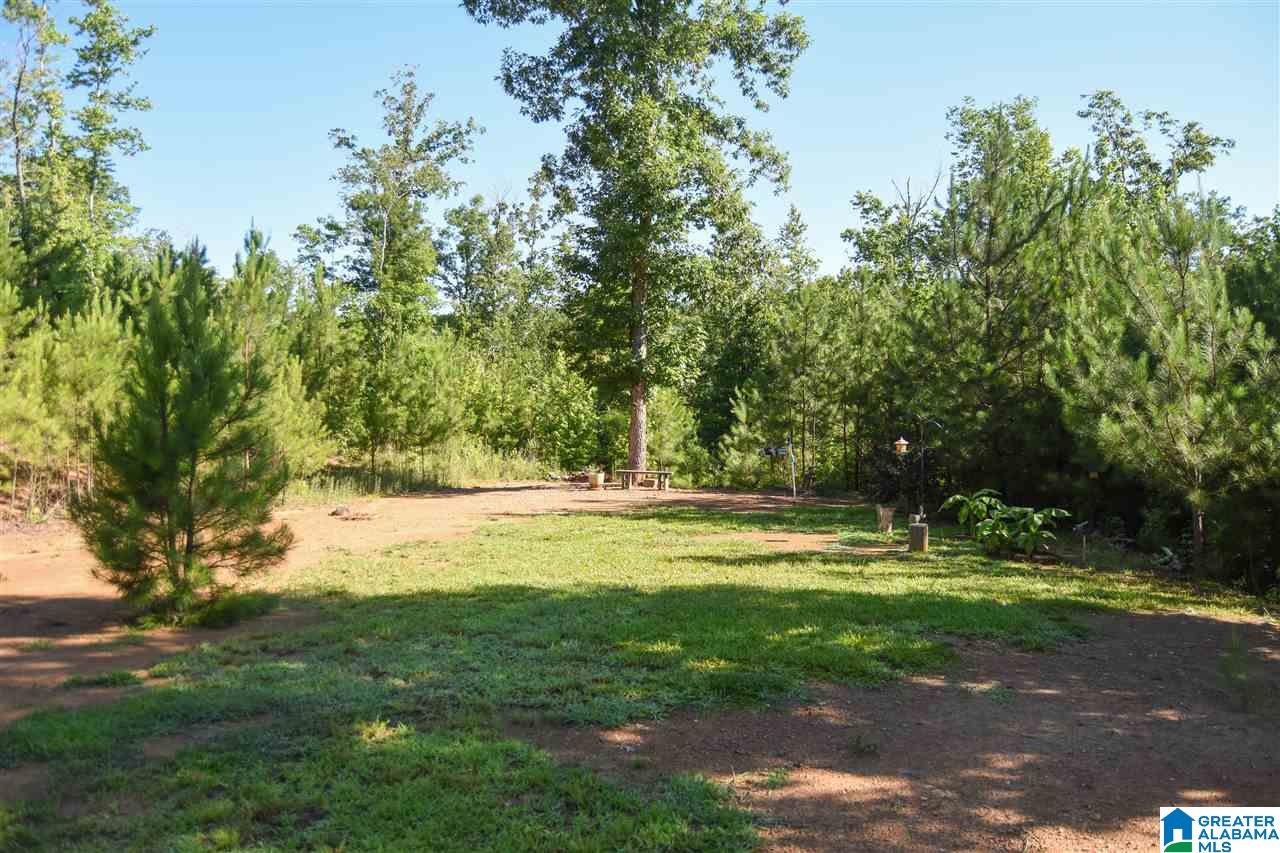6131 New Liberty Road Jacksonville, AL 36265 - Photo 39 of 39