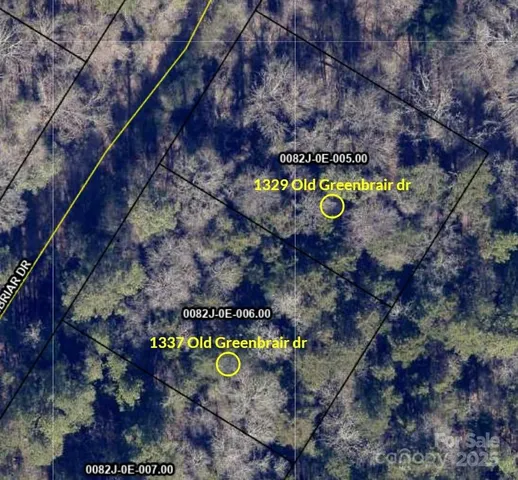 a view of a dry side of forest