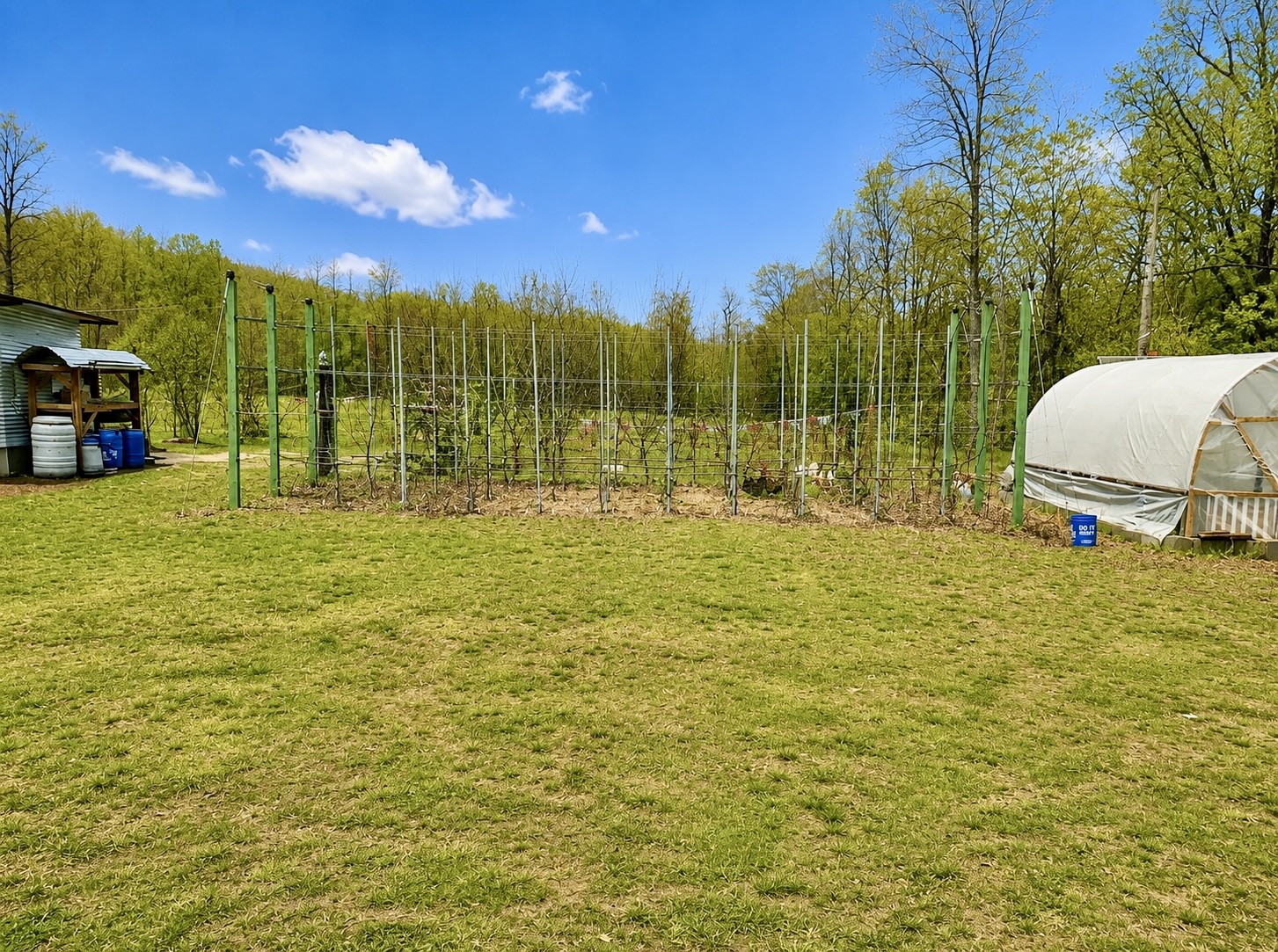 2071 Deer Creek Road Linden, TN 37096 - Photo 15 of 40