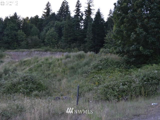 145 Windy River Road Kalama, WA 98625 - Photo 1 of 2 Gallery Image 1