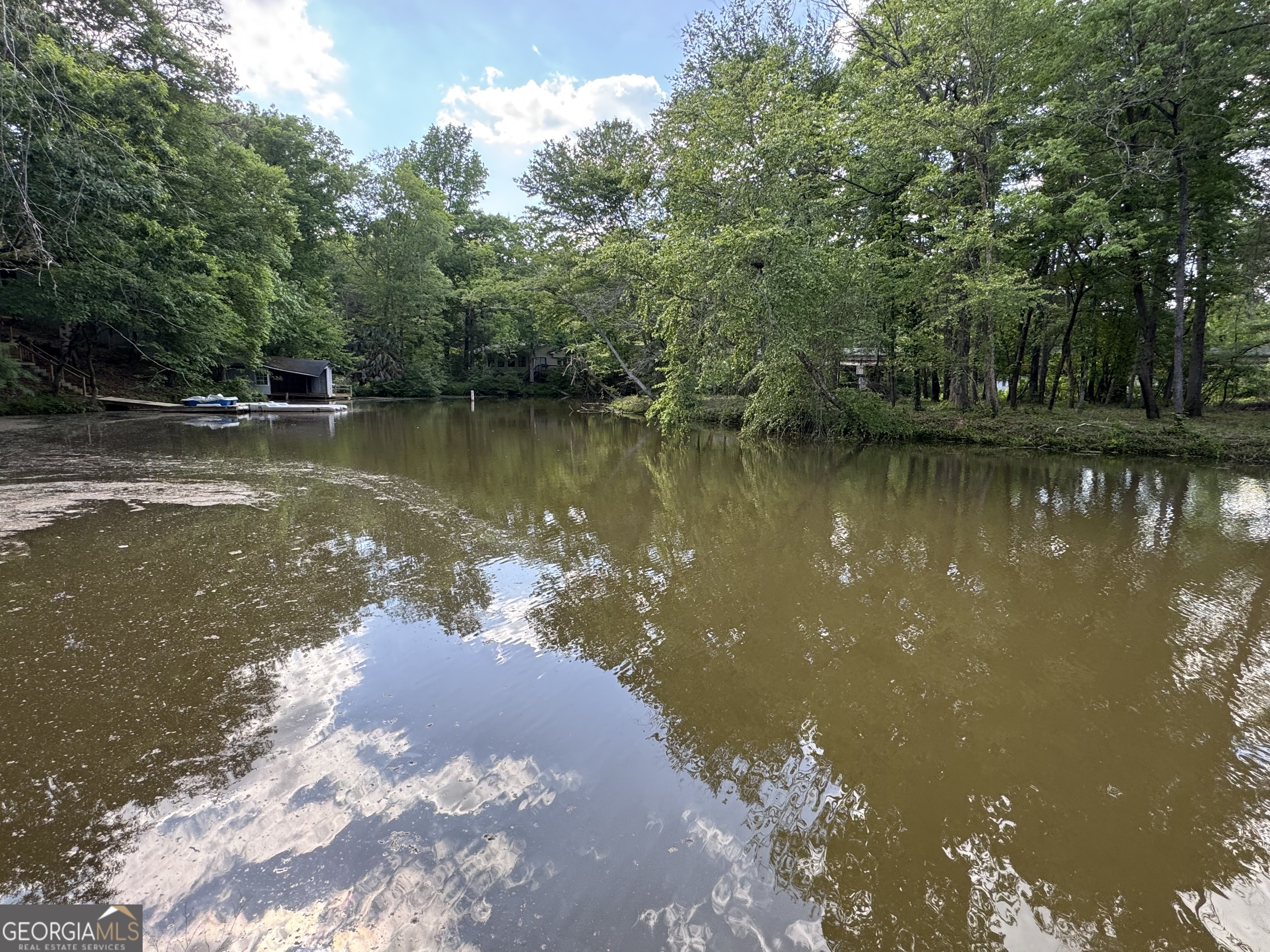 165 Dollar Road Hamilton, GA 31811 - Photo 8 of 16