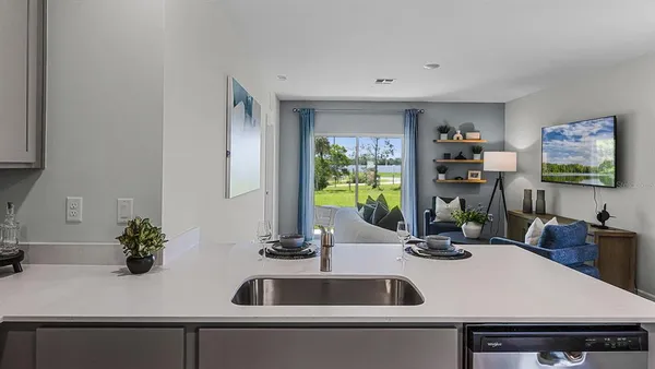 a kitchen with a sink and a potted plant