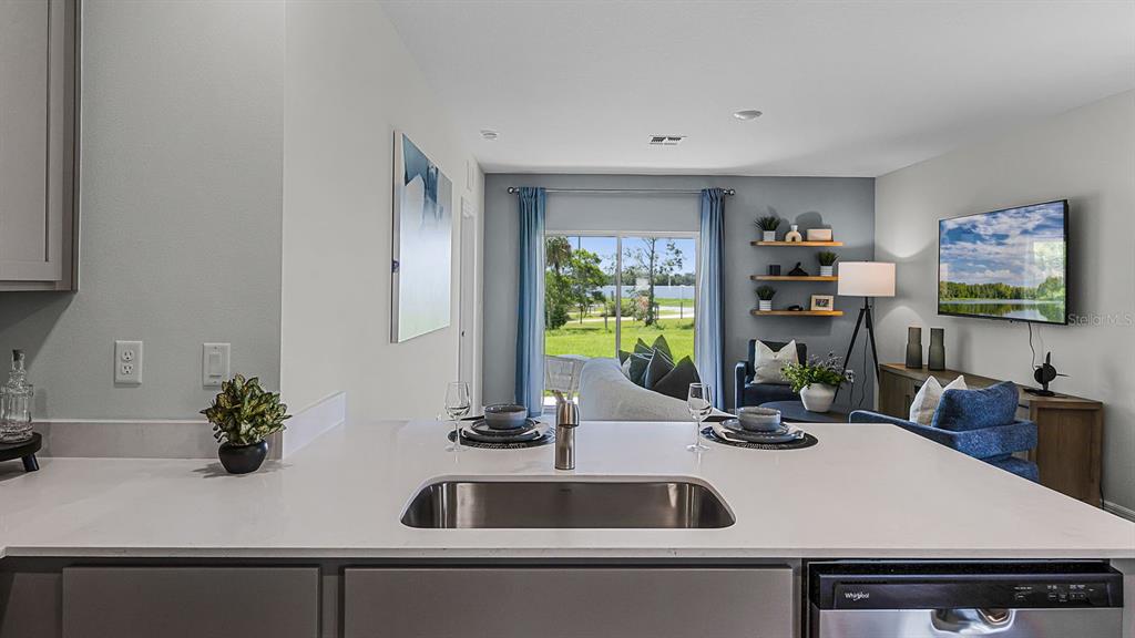 3316 White Indigo Road Winter Haven, FL 33884 - Photo 10 of 27 a kitchen with a sink and a potted plant