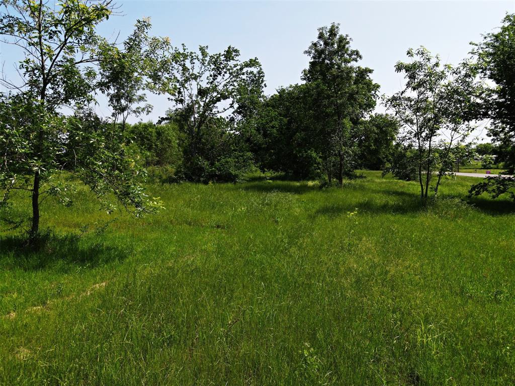 a view of a green field with trees