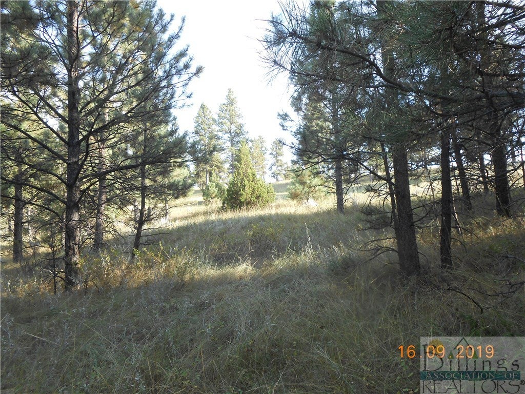 0 Tree Top Roundup, MT 59072 - Photo 1 of 1 Gallery Image 1