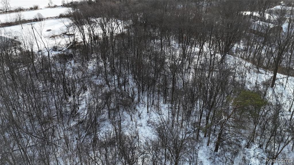 0 South State Road Davison, MI 48423 - Photo 6 of 16