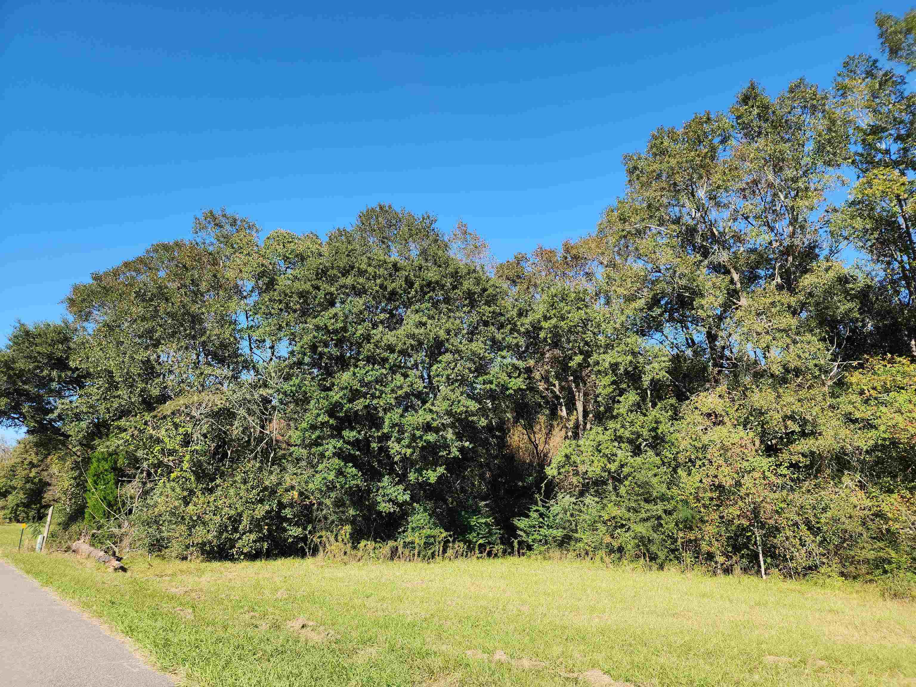 0 Cowpen Creek Road Atmore, AL 36502 - Photo 6 of 21