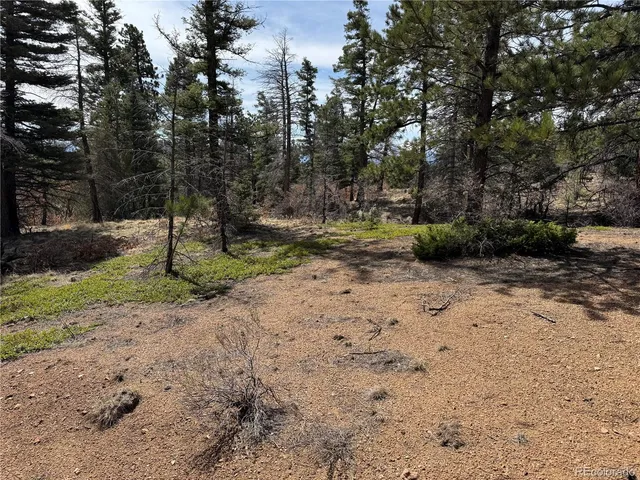 a view of outdoor space with trees