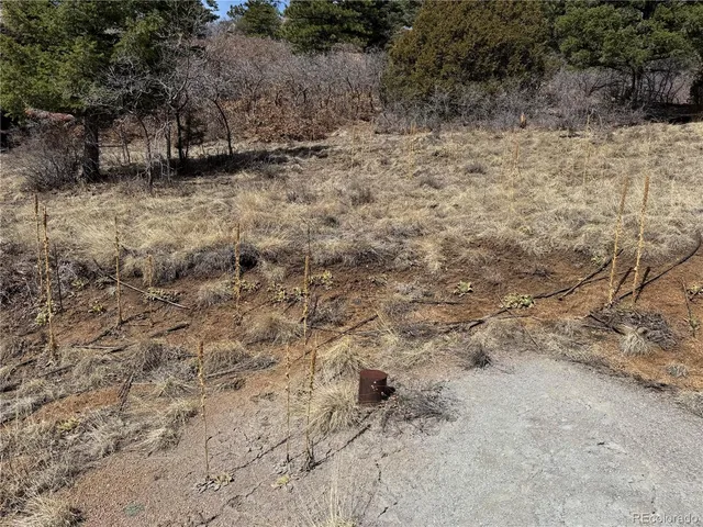a close up of a shower curtain