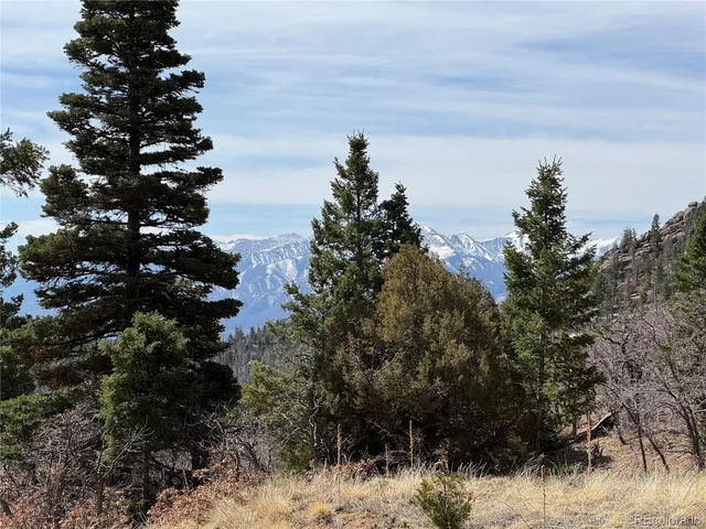 a view of outdoor space with trees all around