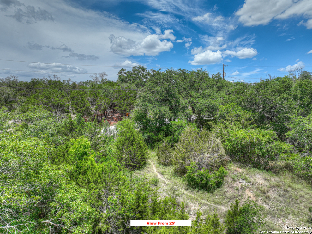 0 Cliff Drive Spring Branch, TX 78070 - Photo 13 of 22